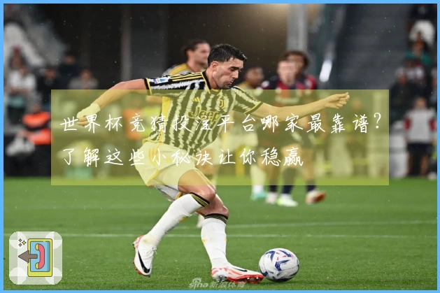 世界杯竞猜投注平台哪家最靠谱？了解这些小秘诀让你稳赢