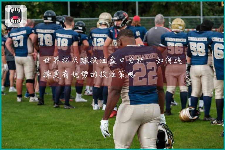世界杯买球投注盘口分析：如何选择更有优势的投注策略