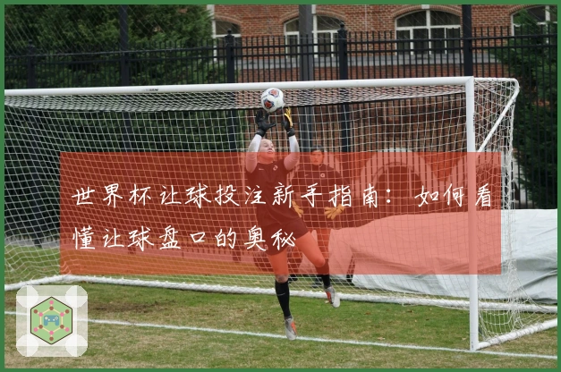 世界杯让球投注新手指南：如何看懂让球盘口的奥秘