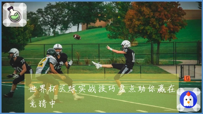 世界杯买球实战技巧盘点助你赢在竞猜中