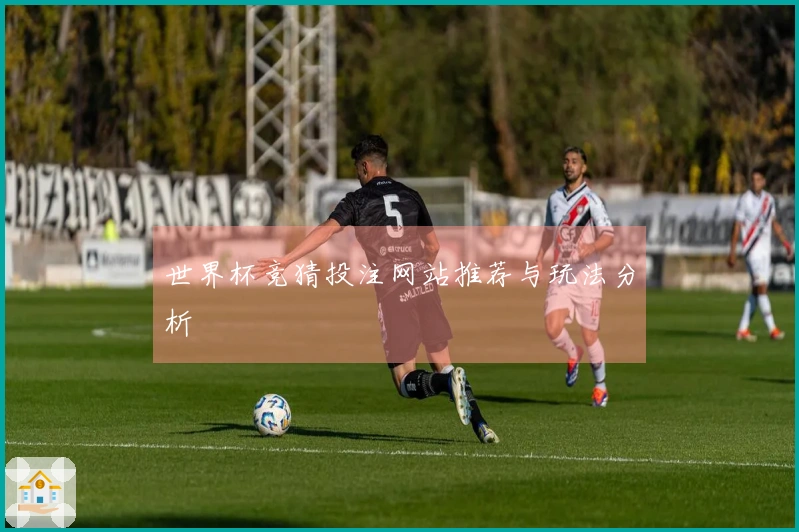 世界杯竞猜投注网站推荐与玩法分析