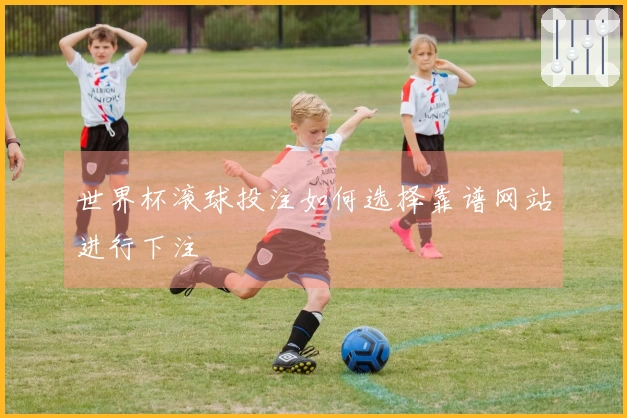 世界杯滚球投注如何选择靠谱网站进行下注