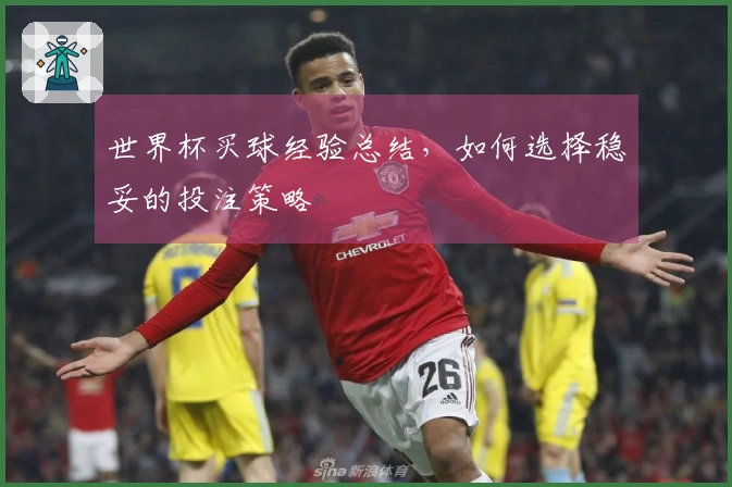 世界杯买球经验总结，如何选择稳妥的投注策略