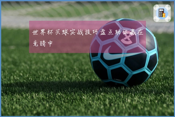 世界杯买球实战技巧盘点助你赢在竞猜中