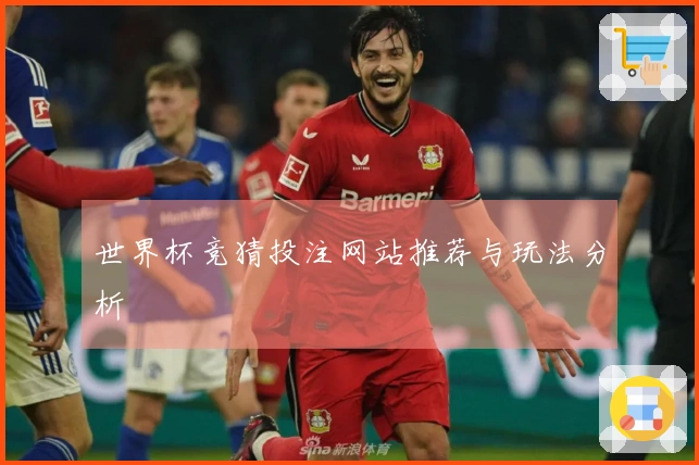 世界杯竞猜投注网站推荐与玩法分析