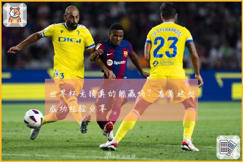 世界杯竞猜真的能赢吗？看看这些成功经验分享