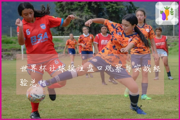 世界杯让球投注盘口观察与实战经验总结